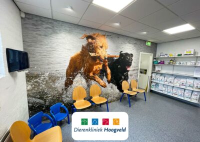 Gepersonaliseerde fotowanden voor Dierenkliniek Hoogveld